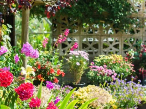 What to Plant Each Season: Ultimate Guide for Year-Round Gardening