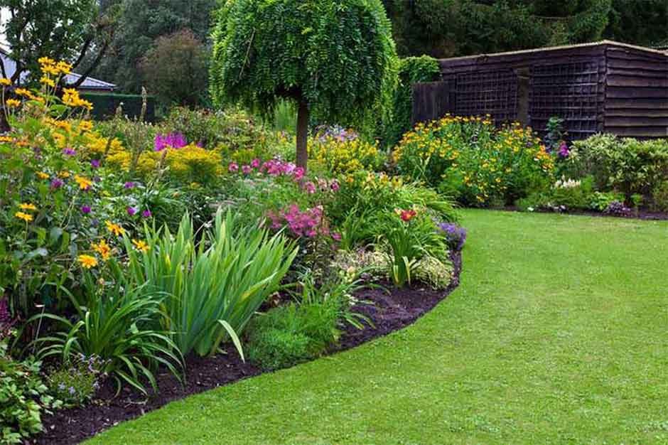 Sustainable Landscaping: Eco-Friendly Ideas for Your Garden