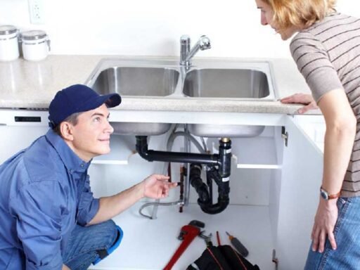Expert Touch: Why Georgetown Relies on Professional Plumbing Solutions