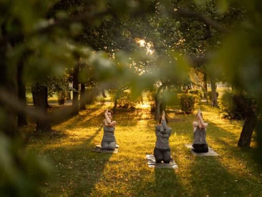 Rejuvenate Mind, Body, and Spirit: Exploring the Tranquil World of Wellness Retreats
