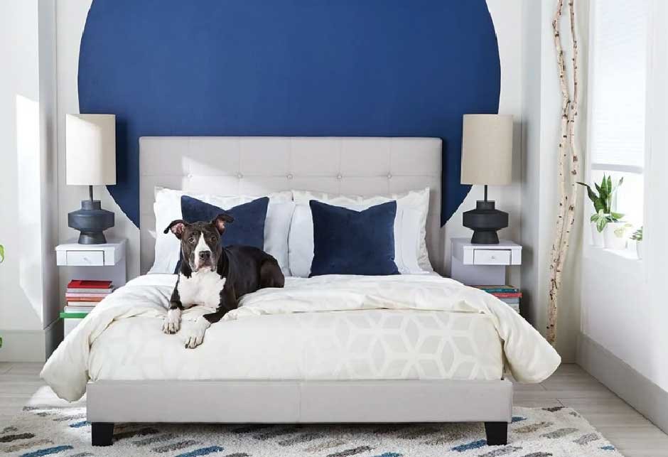 what features should you look for in a multi-functional guest bed