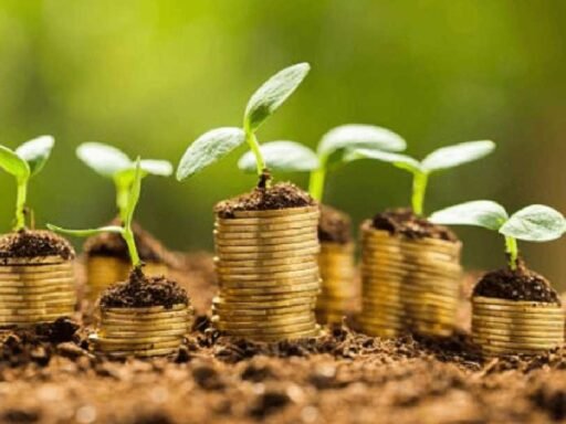 Why Green Loans Are the Future of Finance