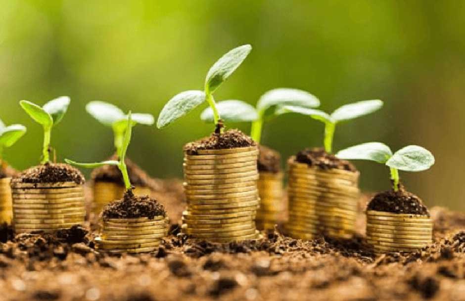 Why Green Loans Are the Future of Finance