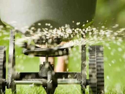 Benefits of Organic Lawn Fertilizer Services