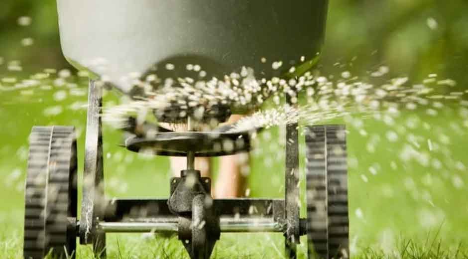 Benefits of Organic Lawn Fertilizer Services