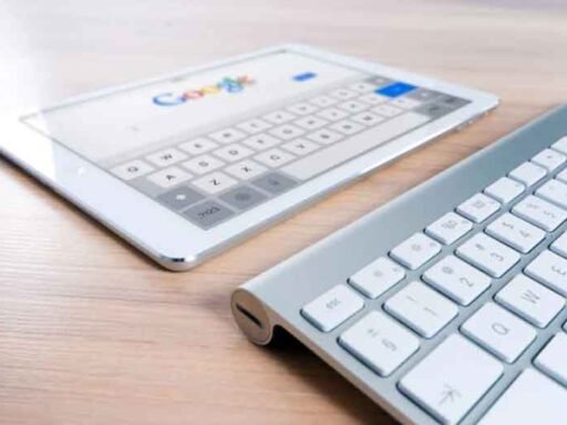 How Search Trends Shape Online Business Growth