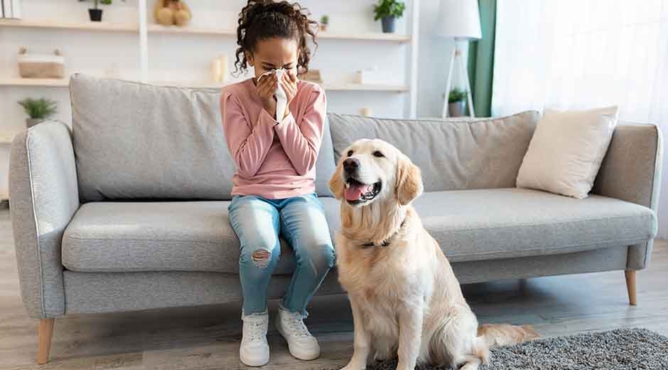 Managing Allergy Triggers in a Pet Household