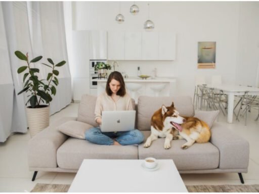 Why-Comfort-Should-Be-Your-Next-Home-Investment