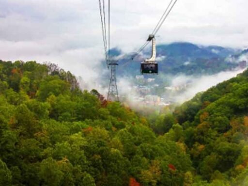 When-Travel-Becomes-About-Conquering-Heights-Rather-Than-Just-Reaching-Them