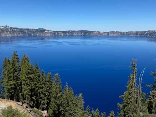 Eco-Friendly Travel in the Pacific Northwest: How to Explore Sustainably