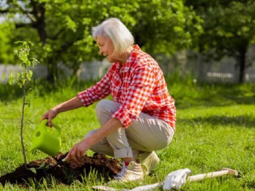 Turning Grief Into Growth with Memorial Trees