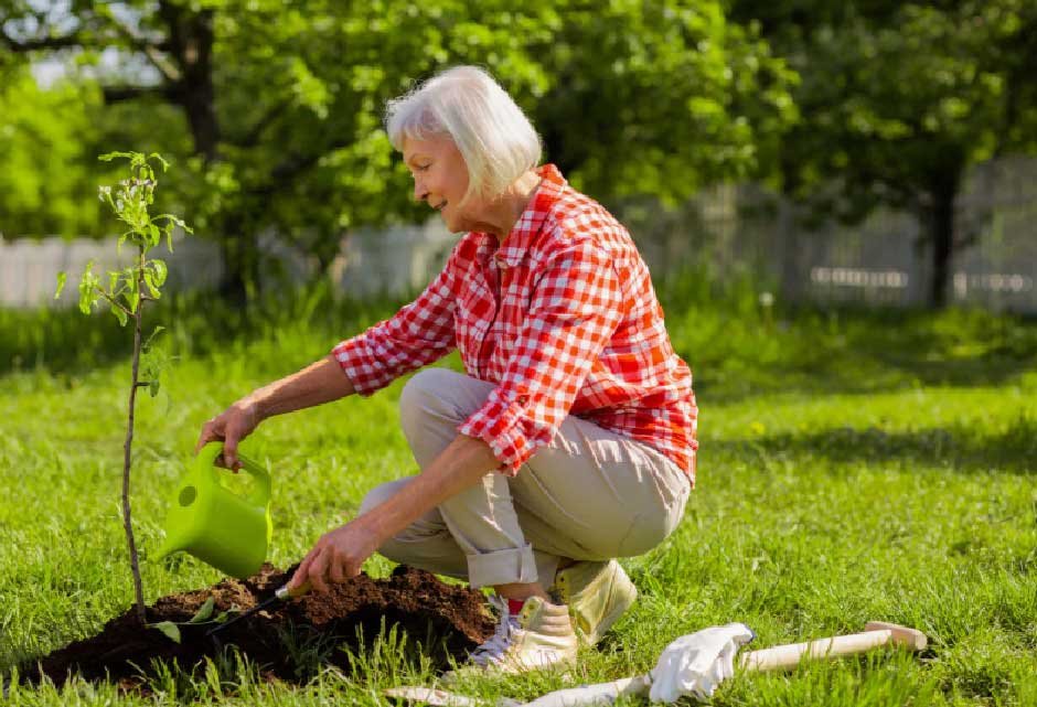 Turning Grief Into Growth with Memorial Trees