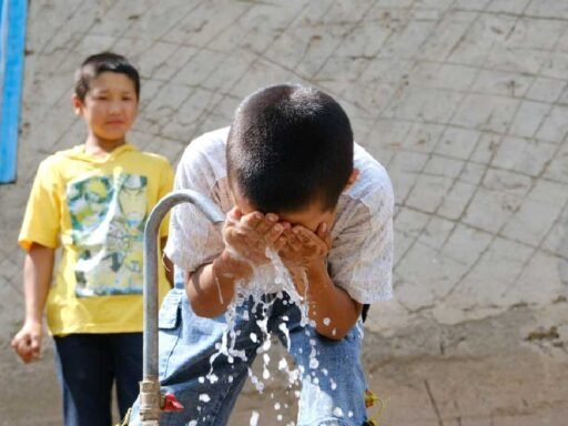 Why Addressing Water Line Issues Early Saves Money