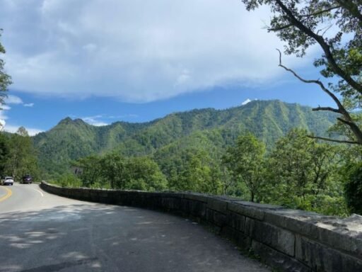 the-ultimate-family-road-trip-guide-to-the-smoky-m-1