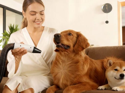 Silent Grooming” Is Becoming the Biggest Trend in Smart Pet Care