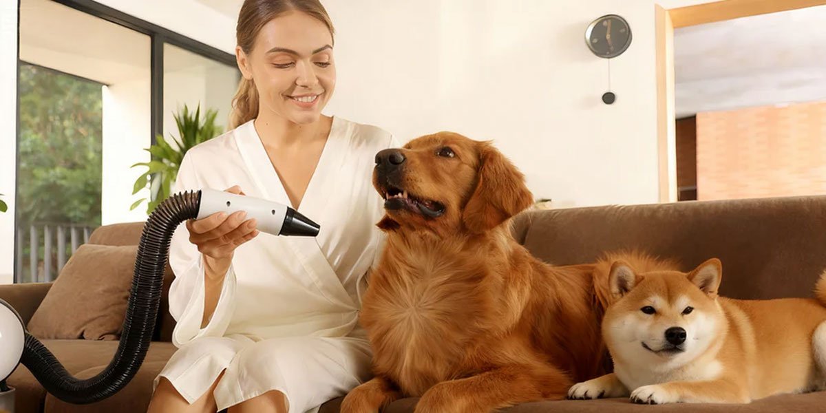 Silent Grooming” Is Becoming the Biggest Trend in Smart Pet Care